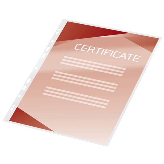 Carteras plastificación GBC FILEX DIN A4 (216X303) 2X125 mic. (Caja 100) 