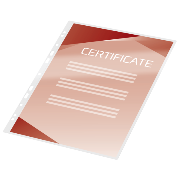 Carteras plastificación GBC FILEX DIN A4 (216X303) 2X125 mic. (Caja 100) 