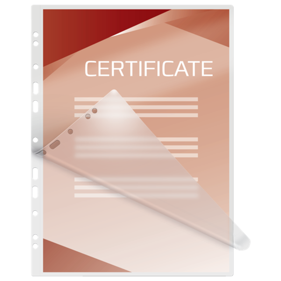 Carteras plastificación GBC FILEX DIN A4 (216X303) 2X125 mic. (Caja 100) 