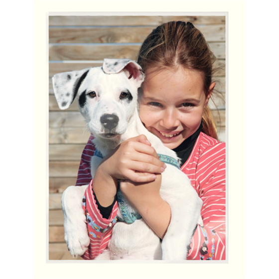 Bolsas De Plastificación Prémium Ilam De Leitz Con Udt A3, 80 Micras Cristal