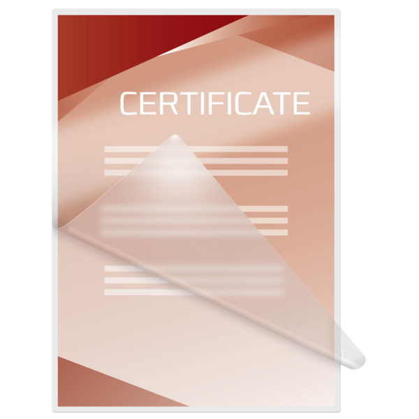 Carteras plastificación GBC DIN A4 (216X303) 2X125 mic. (Caja 100) 