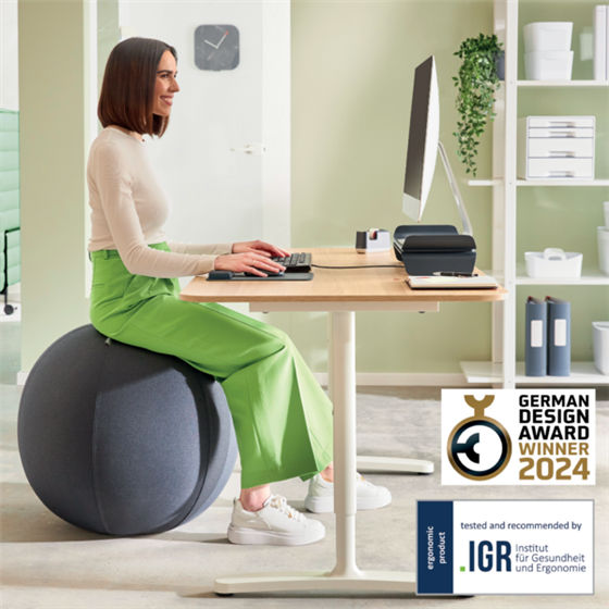 Balón De Asiento Antideslizante Leitz Ergo Active 55Cm Gris Oscuro