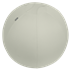 Balón De Asiento Antideslizante Leitz Ergo Active 65Cm Gris