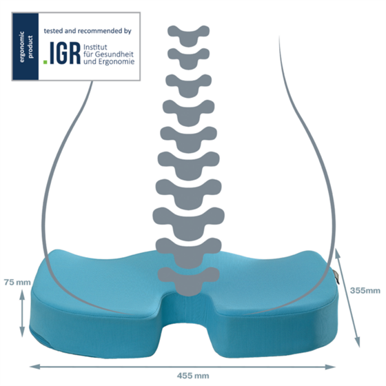 Cojín De Asiento Leitz Ergo Cosy Azul Calma