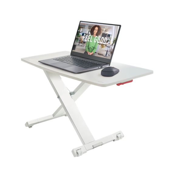 Convertidor De Escritorio Leitz Ergo Cosy Gris