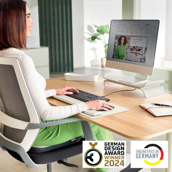 Soporte De Monitor Ajustable Leitz Ergo Gris