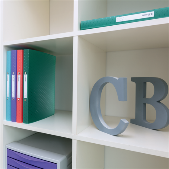 Carpeta De 4 Anillas Esselte Colour'Breeze Lavanda