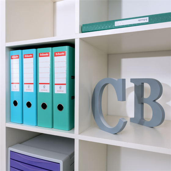 Archivador De Palanca Esselte Colour'Breeze PP Coral A4 Lomo: 75 Mm.