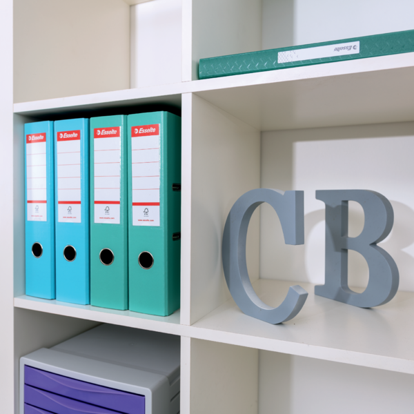 Archivador De Palanca Esselte Colour'Breeze PP Coral A4 Lomo: 75 Mm.