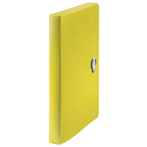 Carpeta De Proyectos Leitz Recycle, Co2 Compensado Amarillo A4