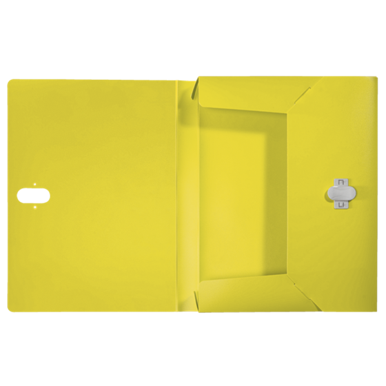 Carpeta De Proyectos Leitz Recycle, Co2 Compensado Amarillo A4