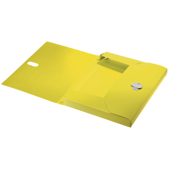 Carpeta De Proyectos Leitz Recycle, Co2 Compensado Amarillo A4