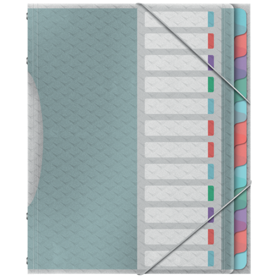 Clasificador Con 12 Pestañas Esselte Colour'Breeze Multicolor A4