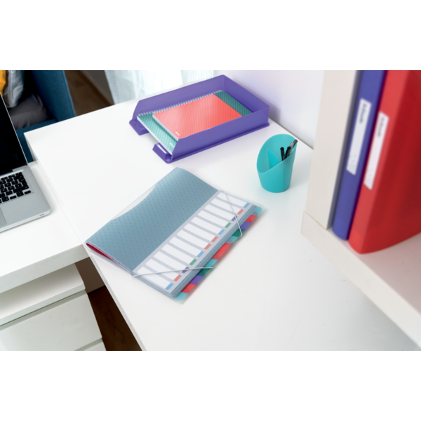 Clasificador Con 12 Pestañas Esselte Colour'Breeze Multicolor A4