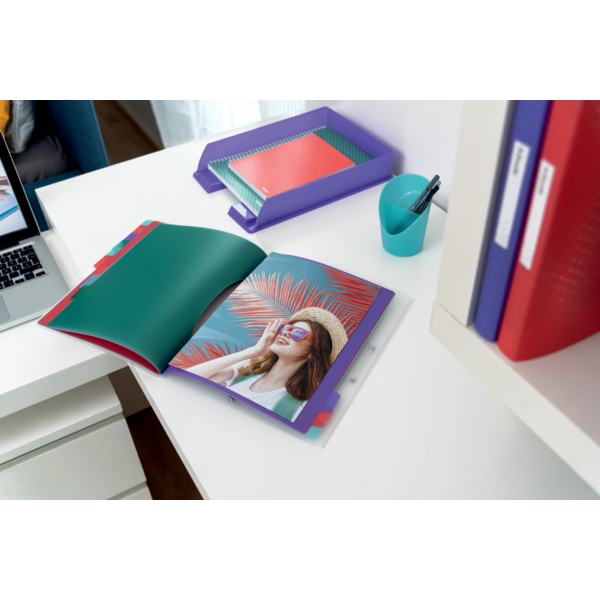 Clasificador Con 12 Pestañas Esselte Colour'Breeze Multicolor A4