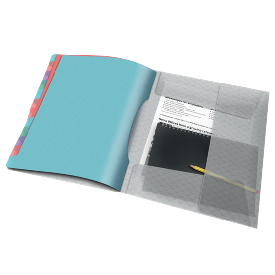 Clasificador Con 12 Pestañas Esselte Colour'Breeze Multicolor A4