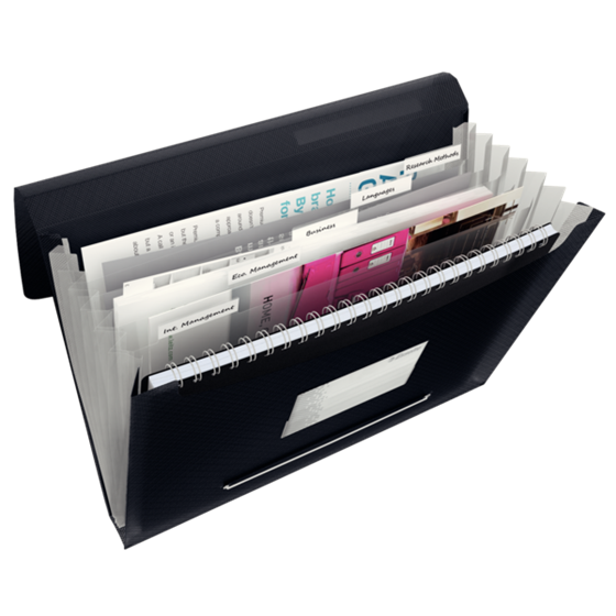 Carpeta Acordeón Expansible Vivida De Esselte, Translúcida Vivida Negro