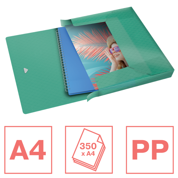 Carpeta De Proyectos Con Capacidad Extra Esselte Colour'Breeze Verde A4