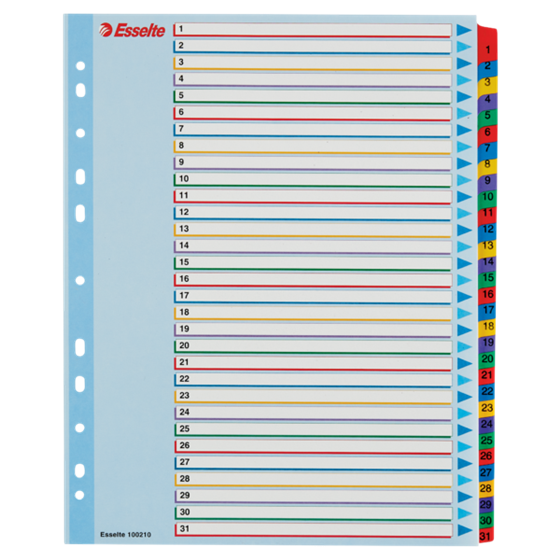 Índices Proyectos Borra Y Reescribe Multicolor 1-31 A4 Maxi