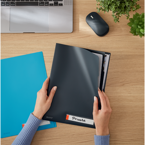 Dosier De Privacidad Con Pestañas Leitz Cosy Gris Terciopelo