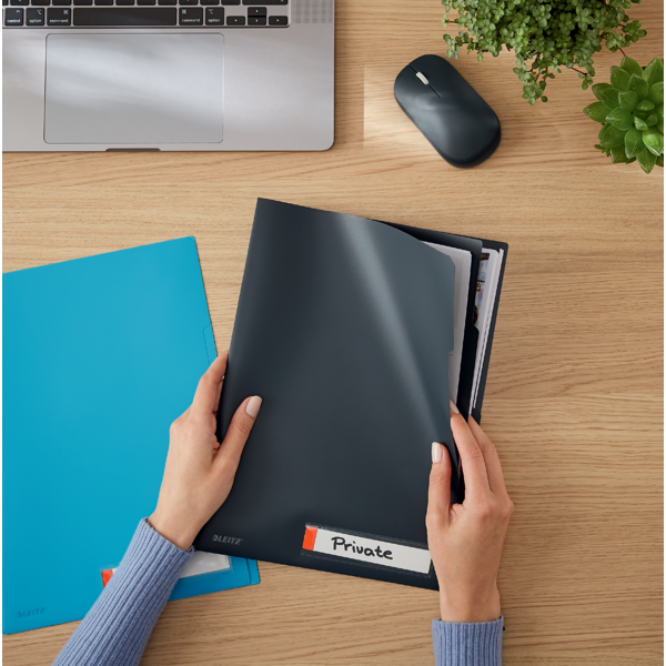 Dosier De Privacidad Con Pestañas Leitz Cosy Gris Terciopelo