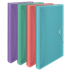 Carpeta Acordeón Esselte Colour'Breeze Surtidos A4