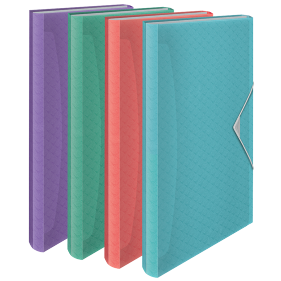 Carpeta Acordeón Esselte Colour'Breeze Surtidos A4