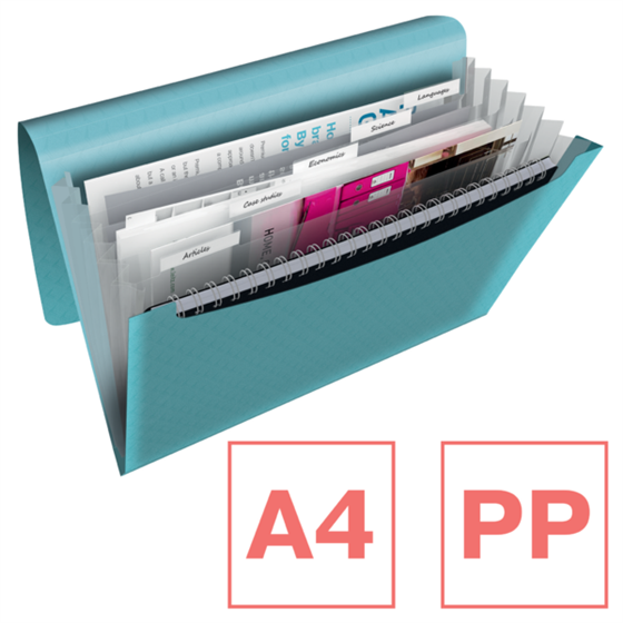 Carpeta Acordeón Esselte Colour'Breeze Surtidos A4