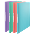 Carpeta Con 60 Fundas Esselte Colour'Breeze Surtidos A4