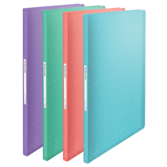 Carpeta Con 60 Fundas Esselte Colour'Breeze Surtidos A4