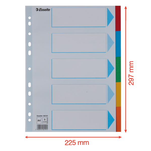 Separadores Cartón Multicolor 5 Pestañas En Blanco A4