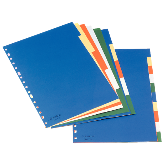 Separadores De Plástico  10 Pestañas En Blanco A4