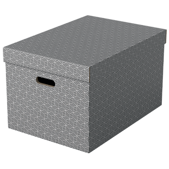Caja De Almacenamiento Para El Hogar Esselte Grande, Paquete De 3 Gris