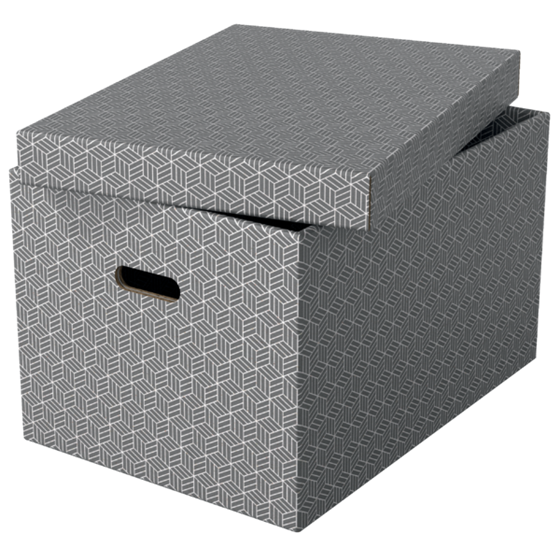 Caja De Almacenamiento Para El Hogar Esselte Grande, Paquete De 3 Gris