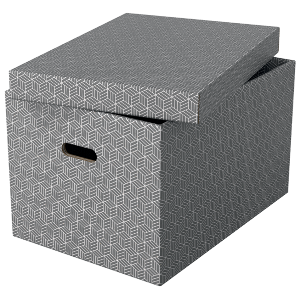Caja De Almacenamiento Para El Hogar Esselte Grande, Paquete De 3 Gris
