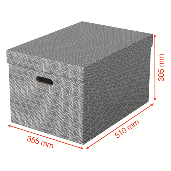 Caja De Almacenamiento Para El Hogar Esselte Grande, Paquete De 3 Gris