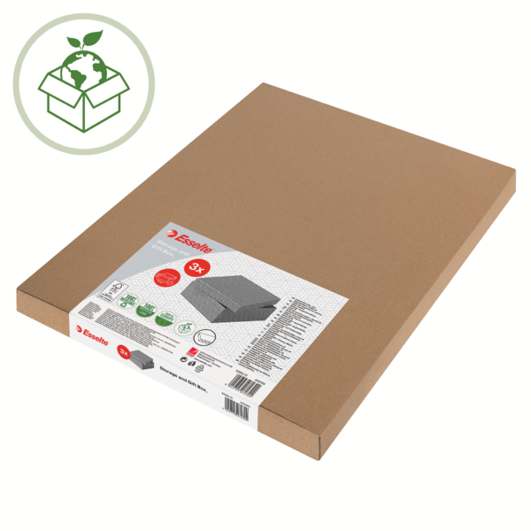 Caja De Almacenamiento Para El Hogar Esselte Grande, Paquete De 3 Gris