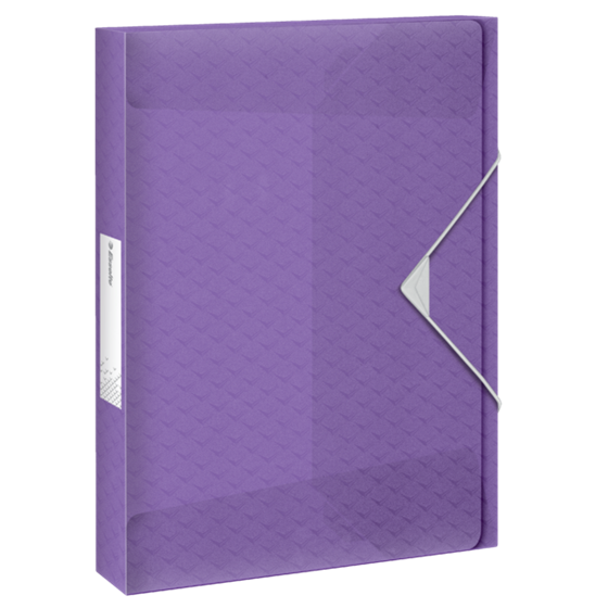 Carpeta Acordeón Esselte Colour'Breeze Lavanda A4