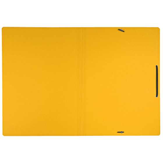 Carpeta De Cartón Con Gomas Leitz Recycle, Co2 Compensado Amarillo