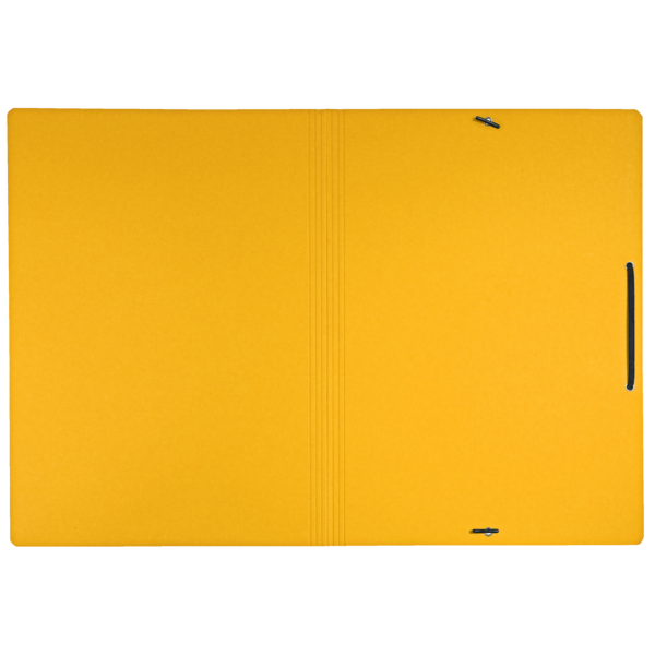 Carpeta De Cartón Con Gomas Leitz Recycle, Co2 Compensado Amarillo