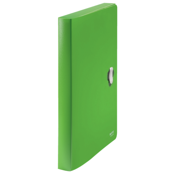 Carpeta De Proyectos Leitz Recycle, Co2 Compensado Verde A4