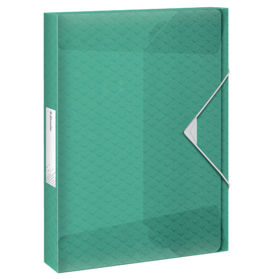Carpeta Acordeón Esselte Colour'Breeze Verde A4