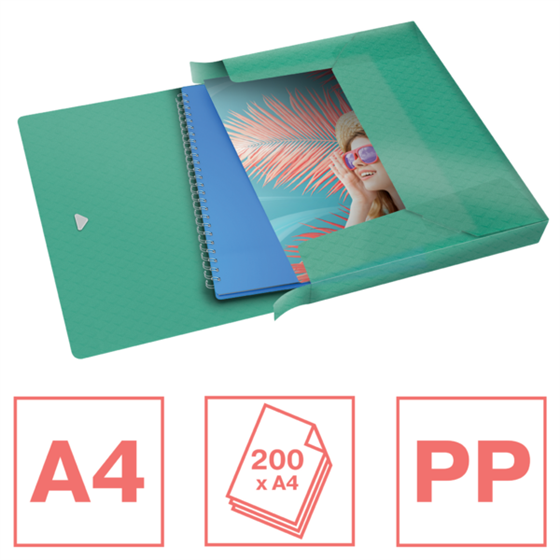 Carpeta Acordeón Esselte Colour'Breeze Verde A4