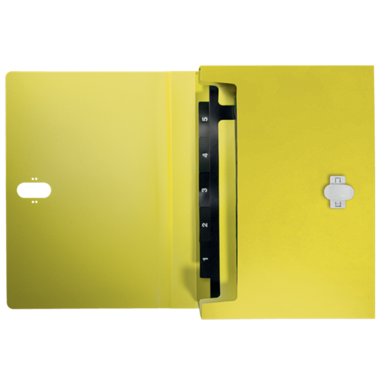 Carpeta Acordeón Leitz Recycle, Co2 Compensado Amarillo A4