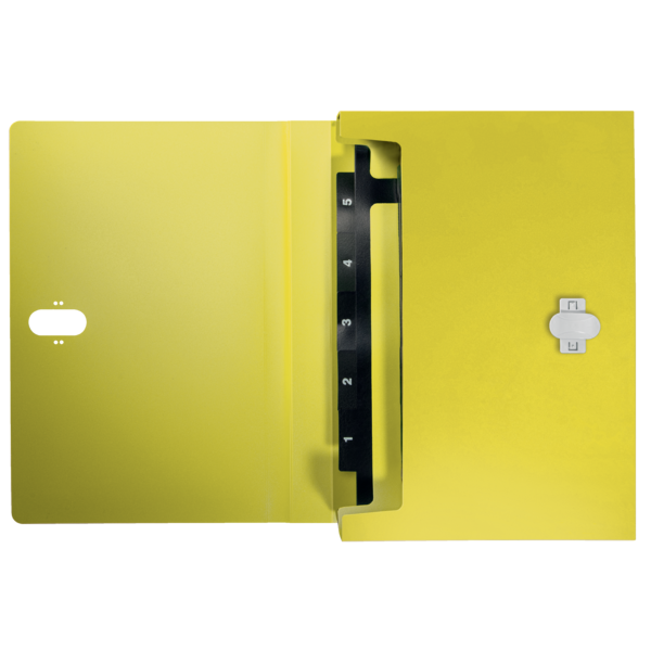 Carpeta Acordeón Leitz Recycle, Co2 Compensado Amarillo A4