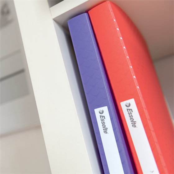 Carpeta Con 60 Fundas Esselte Colour'Breeze Lavanda A4