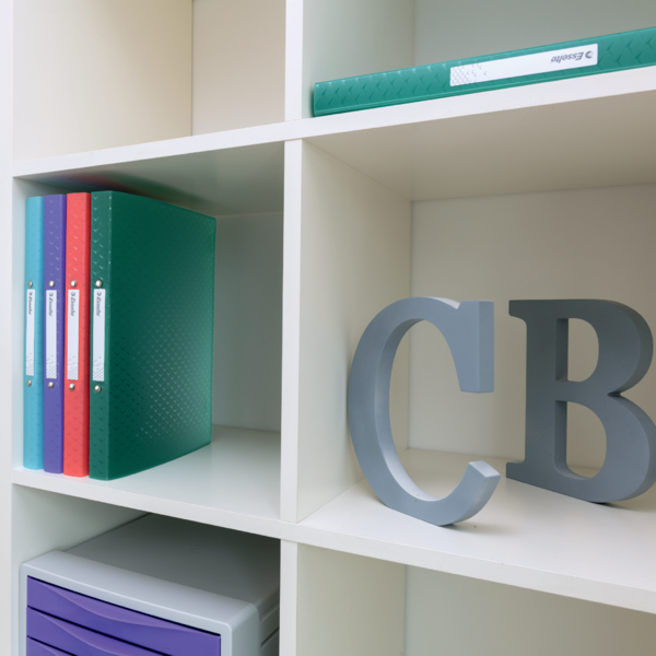 Carpeta De 4 Anillas Esselte Colour'Breeze Azul