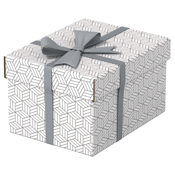 Caja Pequeña De Almacenamiento Y Regalo Esselte Para El Hogar, Paquete De 3 Blanco