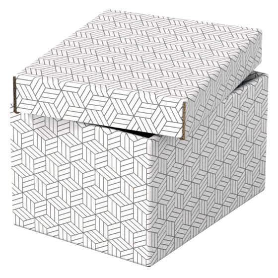 Caja Pequeña De Almacenamiento Y Regalo Esselte Para El Hogar, Paquete De 3 Blanco