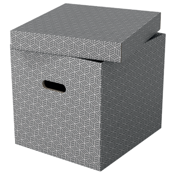 Caja De Almacenamiento Para El Hogar Esselte Cúbica, Paquete De 3 Gris